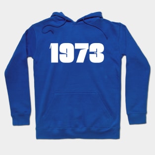 Year 1973 Typography Vintage Retro Hoodie